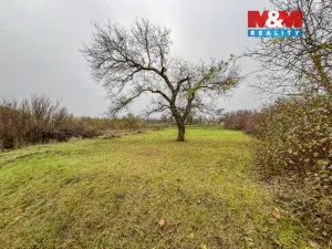 Prodej pole, Třebenice, 468 m2
