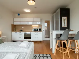 Pronájem bytu 1+kk, Praha - Vinohrady, Perucká, 25 m2