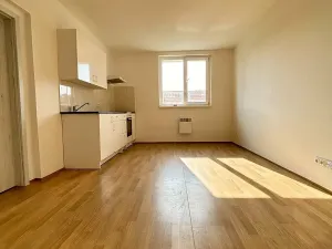Prodej bytu 1+kk, Mšené-lázně, Mládežnická, 38 m2
