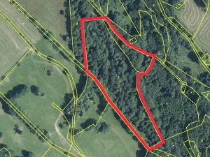 Prodej lesa, Trutnov, 21468 m2