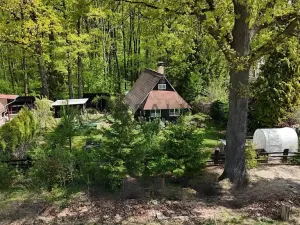 Prodej chaty, Hluboká nad Vltavou, Křivonoska, 70 m2