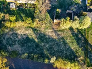 Prodej pozemku pro bydlení, Svojetín, 3831 m2