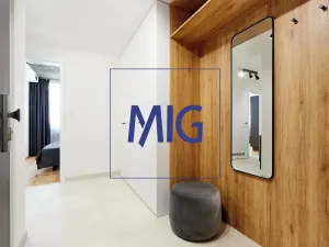 Pronájem bytu 2+kk, Brno, Cejl, 57 m2