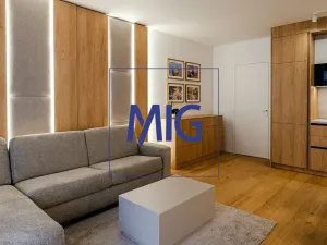 Pronájem bytu 1+kk, Brno, Bratislavská, 45 m2