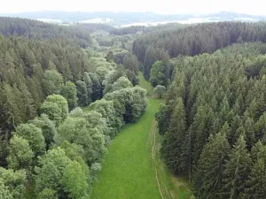 Dražba louky, Čermná, 2083 m2