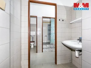 Prodej rodinného domu, Pšov - Močidlec, 371 m2