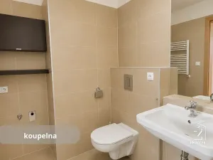 Prodej bytu 2+kk, České Budějovice, Staroměstská, 76 m2