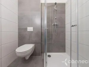 Pronájem bytu 1+1, Přerov - Přerov I-Město, Husova, 29 m2