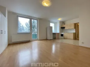 Pronájem bytu 1+kk, Brno, Absolonova, 41 m2