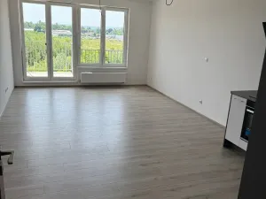 Pronájem bytu 1+kk, Pardubice - Zelené Předměstí, Pod Vinicí, 38 m2