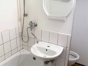 Pronájem bytu 1+1, Písek, Budovatelská, 38 m2
