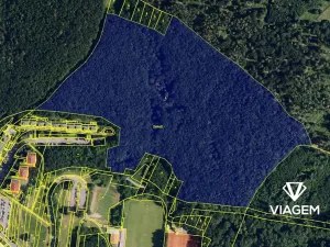 Prodej podílu lesa, Brno, 6591 m2