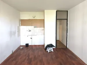 Prodej bytu 1+kk, Ostrava - Moravská Ostrava, U Parku, 31 m2