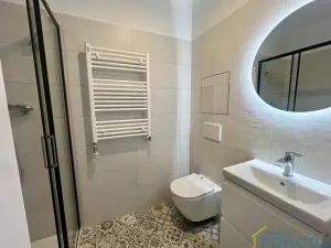 Pronájem bytu 1+1, Vysoké Mýto, V Zahrádkách, 31 m2