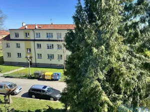 Pronájem bytu 1+1, Vysoké Mýto, V Zahrádkách, 31 m2