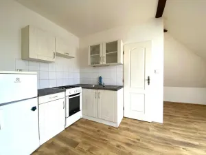 Pronájem bytu 1+kk, Brno - Černovice, Řehořova, 31 m2