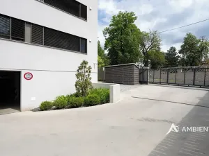 Pronájem bytu 4+kk, Brno, Lipová, 102 m2