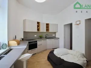 Pronájem bytu 2+1, Brno, Koliště, 53 m2