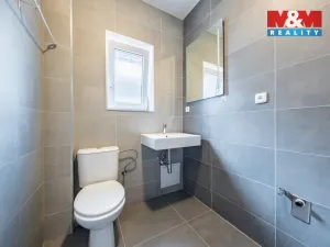 Prodej bytu 1+kk, Šestajovice, Revoluční, 18 m2