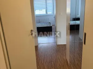 Pronájem bytu 2+kk, Praha - Žižkov, V zahrádkách, 56 m2