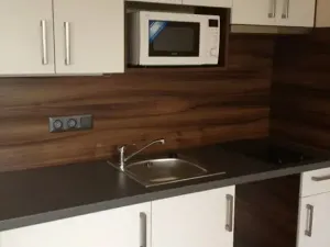 Pronájem bytu 1+kk, Praha - Michle, Hanusova, 38 m2