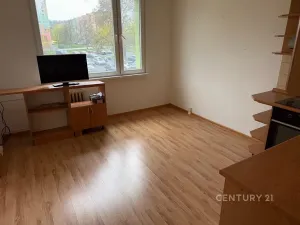 Pronájem bytu 2+kk, Bílina, Sídliště Za Chlumem, 35 m2
