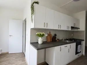Pronájem bytu 3+1, Litvínov, Mládežnická, 82 m2