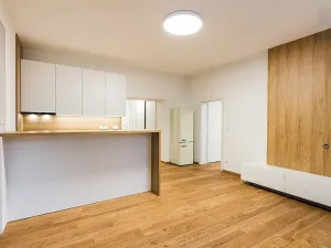 Pronájem bytu 2+kk, Brno, Stavební, 58 m2