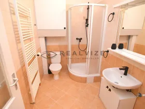 Pronájem bytu 2+kk, České Budějovice, K. V. Raise, 44 m2