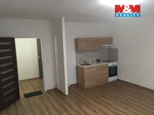 Pronájem bytu 1+kk, Ústí nad Labem - Všebořice, Spartakiádní, 31 m2