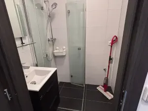 Pronájem bytu 3+1, Frýdek-Místek, Maxima Gorkého, 74 m2