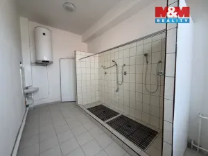 Pronájem obchodního prostoru, Karviná - Mizerov, Centrum, 166 m2
