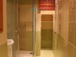 Pronájem bytu 3+1, Prachovice, Bučina, 65 m2