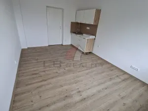 Pronájem bytu 1+kk, Kolín, Štítarská, 30 m2