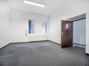 Prodej rodinného domu, Mladá Boleslav, Ptácká, 305 m2