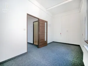 Prodej rodinného domu, Mladá Boleslav, Ptácká, 305 m2