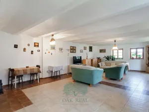 Prodej rodinného domu, Skomelno, 284 m2