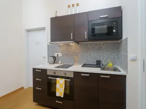 Prodej bytu 2+kk, Praha - Nové Město, Sokolská, 46 m2