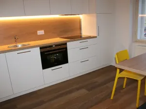 Prodej bytu 1+1, Brno, Dobrovského, 40 m2