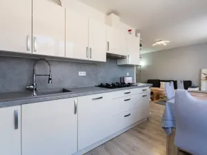 Prodej bytu 2+kk, Most, Petra Jilemnického, 53 m2