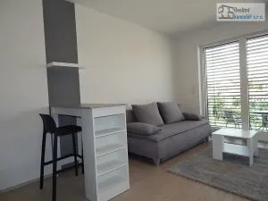 Pronájem bytu 1+kk, Brno, Střední, 38 m2