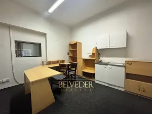 Pronájem obchodního prostoru, Teplice, Masarykova třída, 140 m2