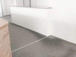 Pronájem obchodního prostoru, Brno, Palackého třída, 311 m2