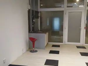 Pronájem komerční nemovitosti, Praha - Stodůlky, Petržílkova, 39 m2