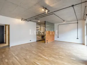 Pronájem bytu 1+kk, Praha - Radlice, Pechlátova, 50 m2