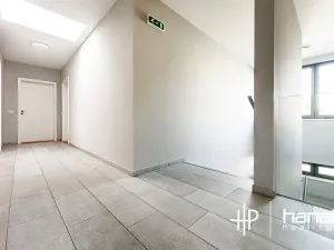 Pronájem bytu 2+kk, Olomouc, Dlouhá, 59 m2