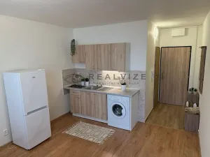 Pronájem bytu 1+1, České Budějovice, O. Nedbala, 36 m2