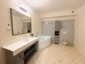 Pronájem bytu 2+kk, Mladá Boleslav, Na Radouči, 60 m2