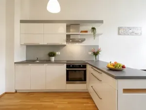 Pronájem bytu 2+kk, Praha - Žižkov, Žižkovo náměstí, 59 m2