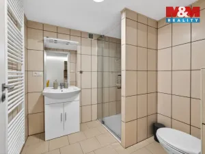 Prodej rodinného domu, Lužnice, 266 m2